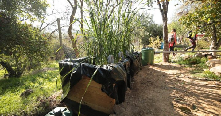 Con iniciativas sustentables y amigables con el entorno Colliguay enfrenta sequía y cambio climático