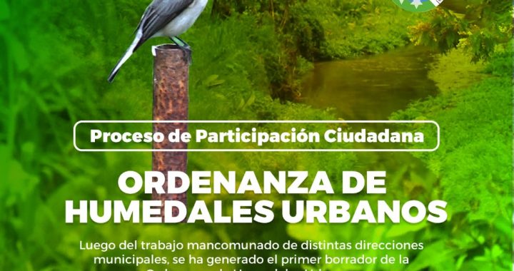 NUEVA ORDENANZA DE HUMEDALES DE VILLA ALEMANA ES ESCRIBE DE MANERA PARTICIPATIVA