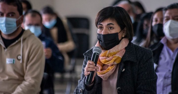 Municipio Abierto de Quilpué aprueba ordenanza que regula comercio ambulante en la comuna