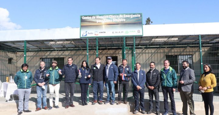“Quillota Respira” recibió donación de 6 mil árboles nativos y ya supera los 49 mil plantados
