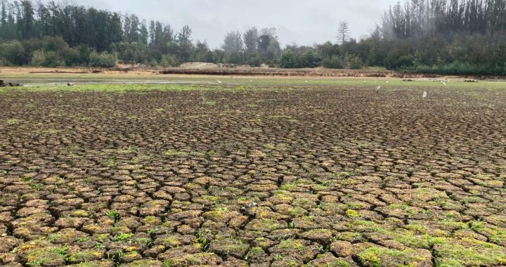 Esval: situación de megasequía en la Región de Valparaíso se mantiene pese a las últimas lluvias