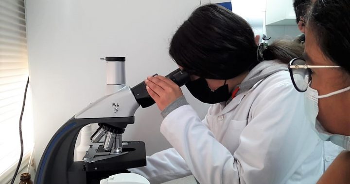 Escolares de Algarrobo trabajan competencias científicas en laboratorio de la UPLA