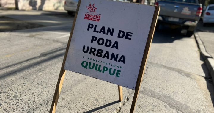 Quilpué apuesta por nuevo manejo del arbolado urbano más acorde con el cambio climático