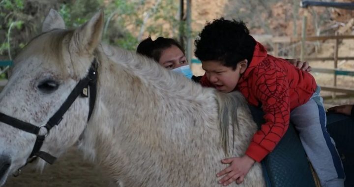 Niños y niñas de Villa Alemana acceden aequinoterapia gracias a convenio municipal