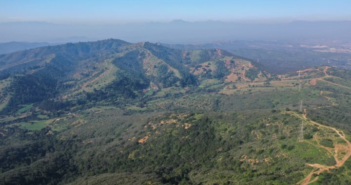 Fundo El Rebaño podría convertirse en zona ecológica protegida