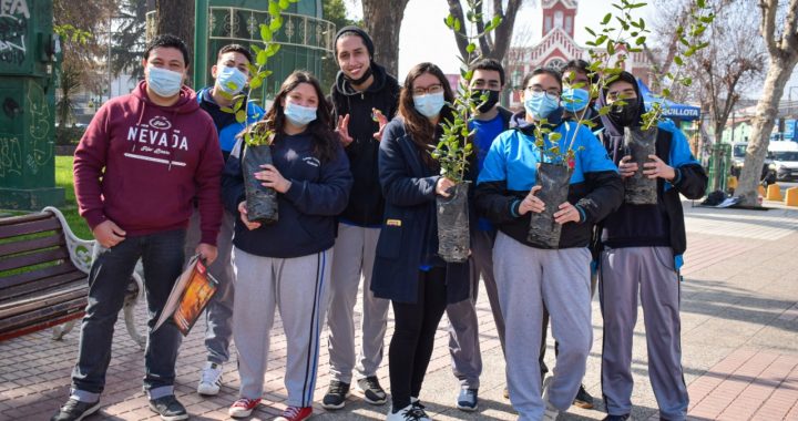 Escolares plantaron 50 árboles nativos durante actividad organizada por la Municipalidad y Conaf en Plaza de Quillota
