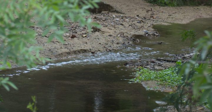 VILLA ALEMANA AVANZA EN EL CUIDADO DEL MEDIO AMBIENTE: CUENTA CON ORDENANZA PARA PROTEGER HUMEDALES URBANOS