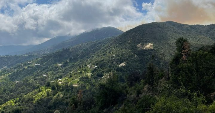 [En Desarrollo] Incendio avanzó de la zona de Chacabuco a la provincia de marga marga.