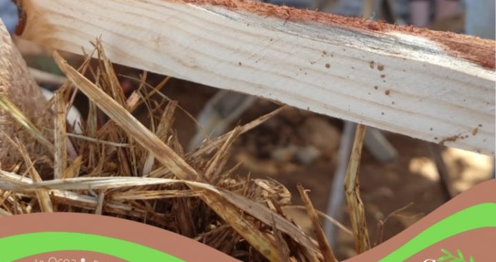 Casa Ocoa este sábado 8 de octubre realizará su nueva versión presencial del taller de introducción a la bio-construcción teórico-práctico.