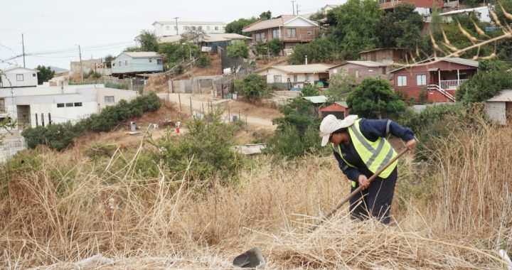 Más de 26 mil metros2 de cortafuegos y desmalezados ha realizado la Municipalidad de #VillaAlemana en este 2022