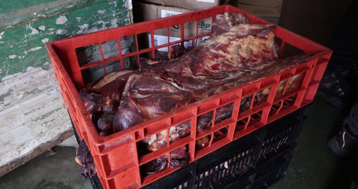 Más de una tonelada de #Carne en mal estado fue decomisada en #VillaAlemana, tras una instensa fiscalización a una distribuidora de alimentos