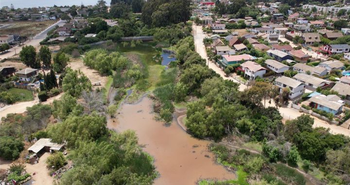 Junta de Vecinos La Rinconada recupera humedal de #Algarrobo con apoyo de fondo concursable de #Esval