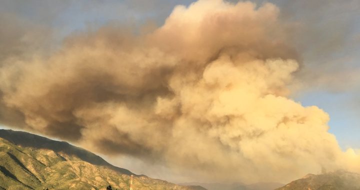 #Conaf y Bomberos capacitan a #viñateros de #Casablanca en prevención de #incendios forestales