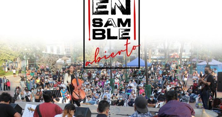 “Ensamble Abierto” brindará la posibilidad de protagonizar un concierto de nivel profesional