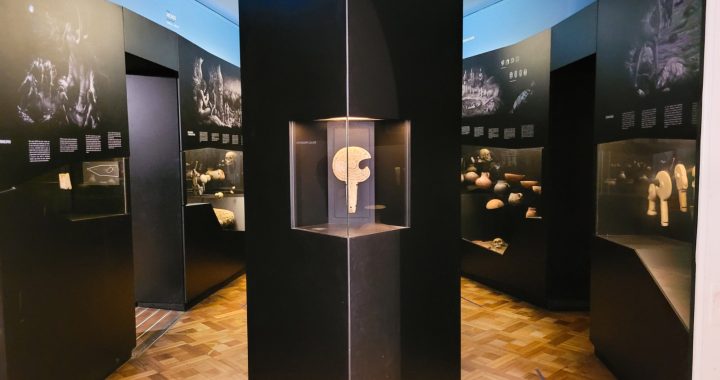 Museo Fonck presenta proyecto audiovisual para la Sala “Zona Central”