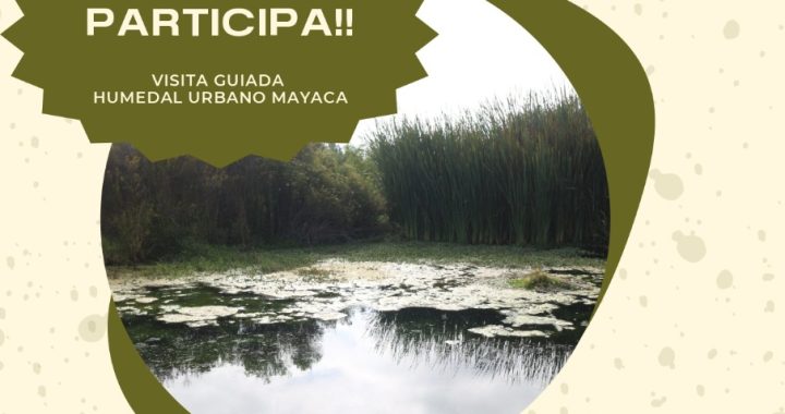 #Quillota conmemorará el Día Mundial de los #Humedales con visita guiada a zona protegida