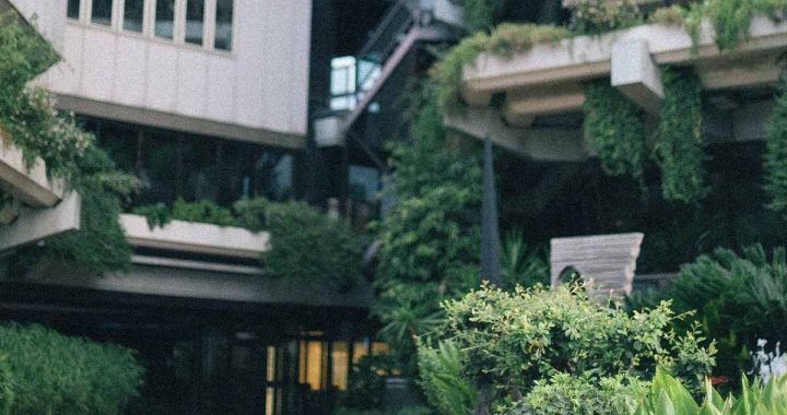 #Jardinería sin excavación: Una guía para crecer plantas y cuidar el suelo