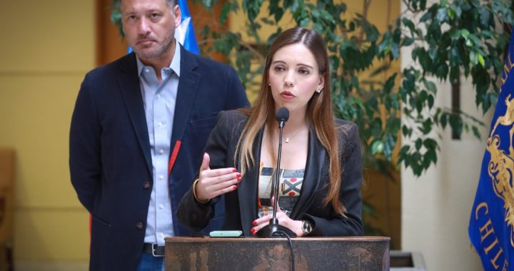 En medio de disputa con empresas forestales por incendios: Diputada Flores (RN) acusó al gobierno de intentar ideologizar el debate