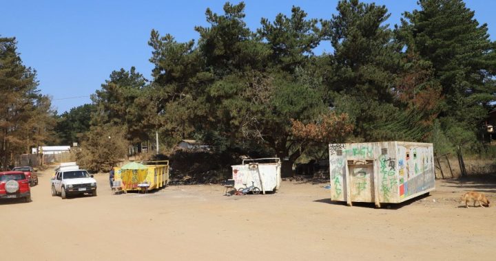 Municipalidad de Valparaíso refuerza limpieza en bateas de Laguna Verde para evitar microbasurales e incendios