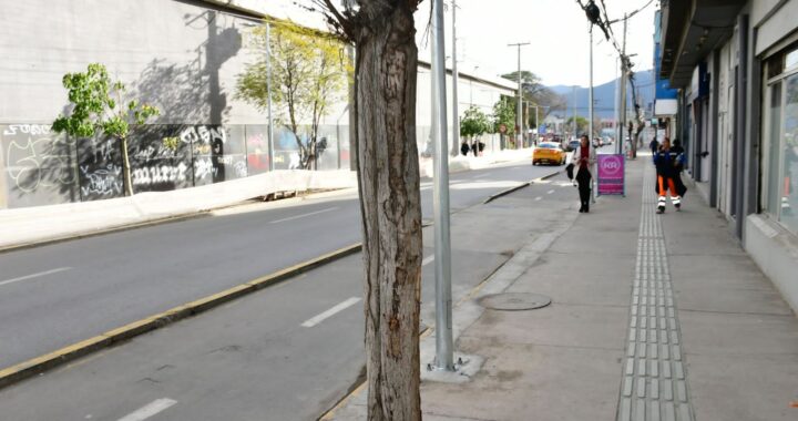 Un 90% de avance registra instalación de luminarias soterradas en anillo céntrico de la calera