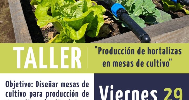 Aprende a Cultivar: Taller de Producción de Hortalizas en Mesas de Cultivo