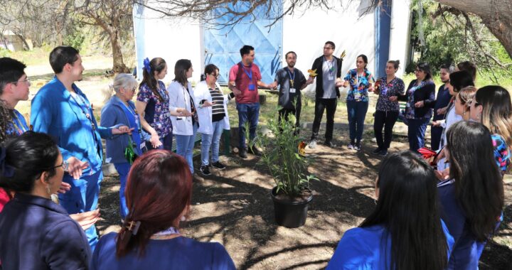 Cuidados Paliativos: un homenaje a la vida y la dignidad de los pacientes