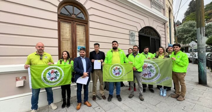 Diputados Celis y Lagomarsino presentan nuevos antecedentes en caso de Funciones Críticas del Servicio de Salud Valparaíso-San Antonio