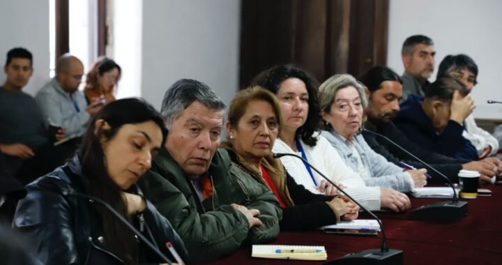 Consejos Locales de Salud Porteños: Planificación de Desafíos en Atención Primaria