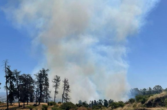 Incendio en Monte Carmelo Contenido: Un Triunfo de la Cooperación Comunitaria