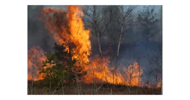 Damnificados del Megaincendio de Valparaíso Marchan a La Moneda: Exigen Respuestas del Estado