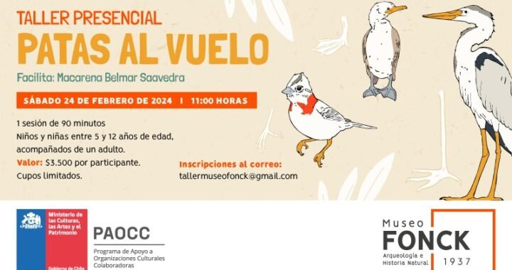 Taller de Timbres Inspirados en Aves Chilenas en Museo Fonck