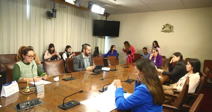 Comisión de Mujer de la Cámara Interviene en Polémica Charla de Educación Sexual en Arica