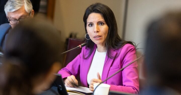 Senadora Gatica critica al Gobierno por riesgo en el Plan de Emergencia Habitacional