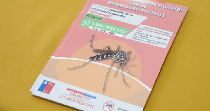 Control Reforzado del Zancudo Transmisor del Dengue por la Seremi de Salud Valparaíso