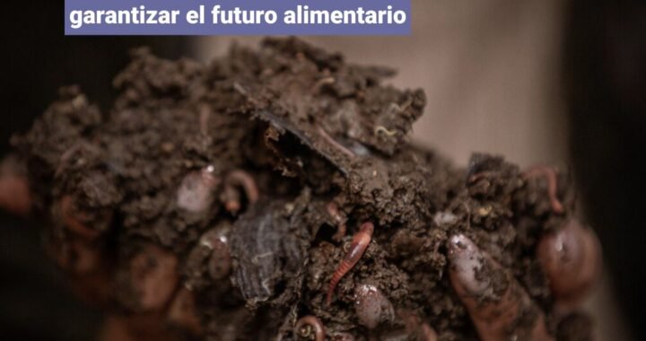 [COLUMNA DE OPINION] – Restaurar la tierra para garantizar el futuro alimentario