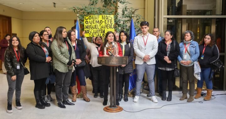 Viña del Mar: Diputada Barchiesi critica a Ripamonti y al Gobierno por posible desalojo de 177 familias del sector El Salto afectadas por megaincendio