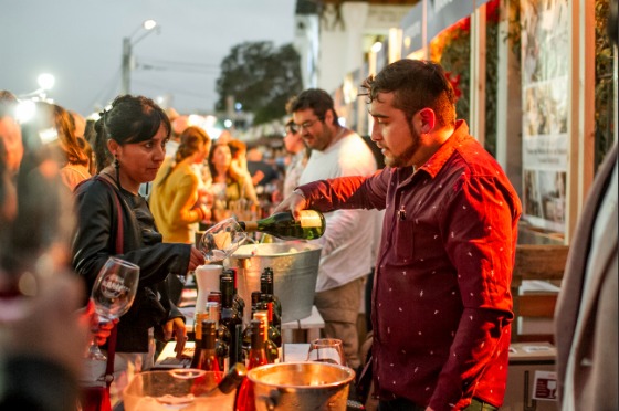 ExpoVino 2025: La Fiesta del Verano en Valparaíso