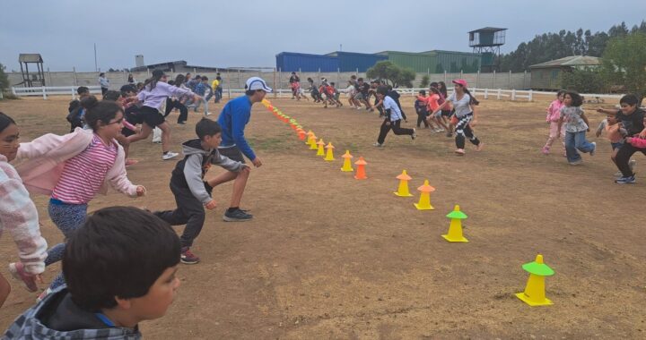 Valparaíso se activa: JUNAEB lanza millonario fondo para vacaciones escolares 2026