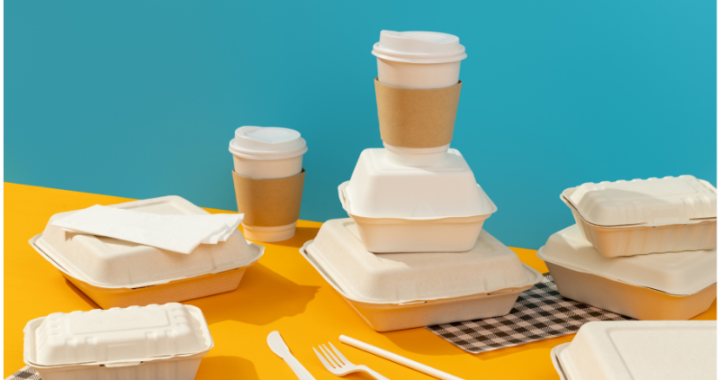 Ley de Plásticos de un Solo Uso entra en vigencia: locales deberán eliminar desechables