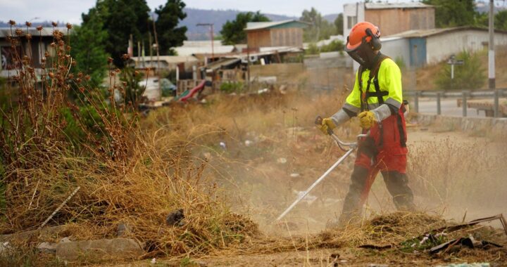 Villa Alemana refuerza limpieza y desmalezado para enfrentar verano e invierno