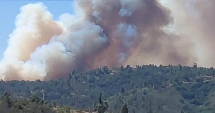Acuartelamiento total de Bomberos por voraz incendio forestal en Viña del Mar y Limache