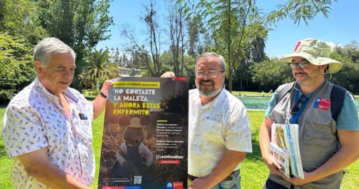 Alerta en Panquehue: refuerzan medidas contra el Virus Hanta en campings de verano