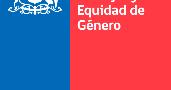 Ministerio justifica salida de directora del SernamEG tras severas observaciones en auditoría
