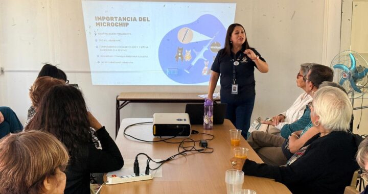 Villa Alemana impulsa plan pionero: adultos mayores se capacitan como monitores de tenencia responsable de mascotas